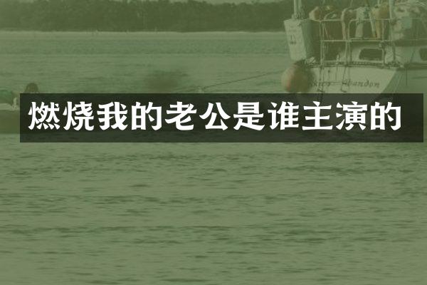 燃烧我的老公是谁主演的