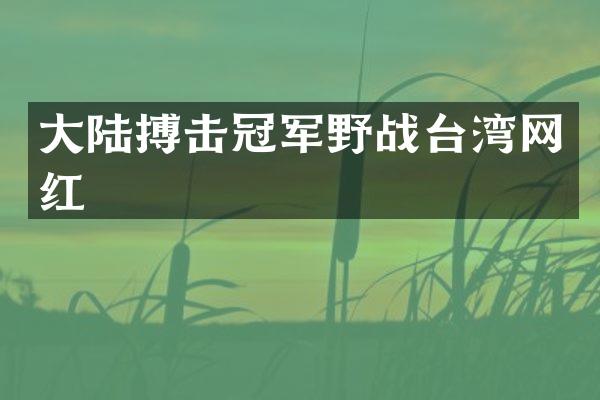 大陆搏击冠军野战台湾网红