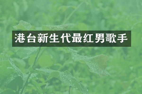 港台新生代最红男歌手