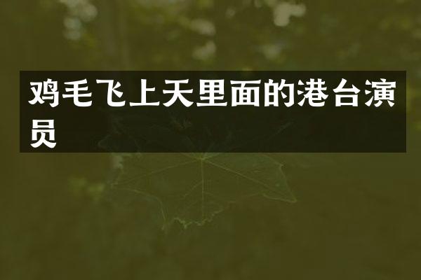 鸡毛飞上天里面的港台演员