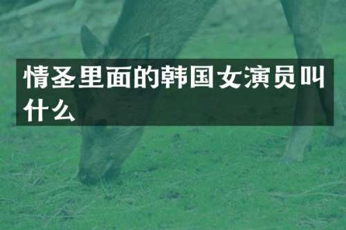 情圣里面的韩国女演员叫什么