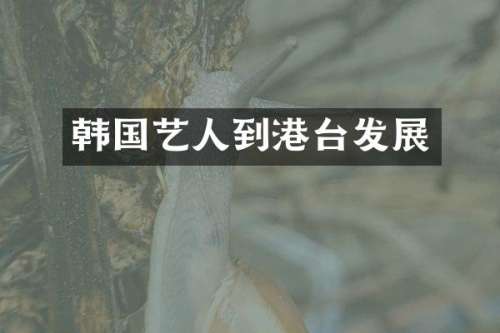 韩国艺人到港台发展