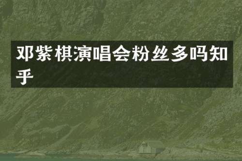 邓紫棋演唱会粉丝多吗知乎