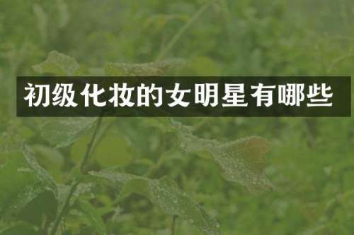 初级化妆的女明星有哪些