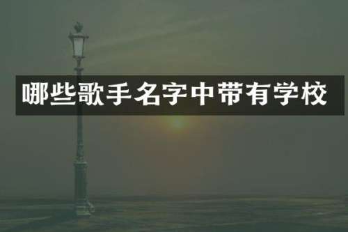 哪些歌手名字中带有学校