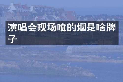 演唱会现场喷的烟是啥牌子