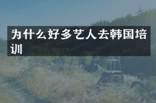 为什么好多艺人去韩国培训