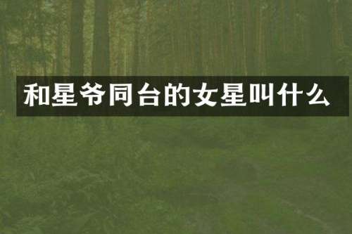 和星爷同台的女星叫什么