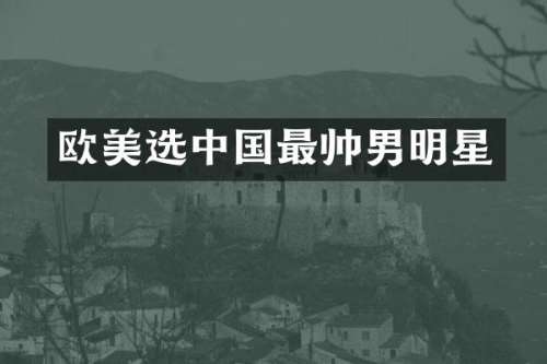 欧美选中国最帅男明星