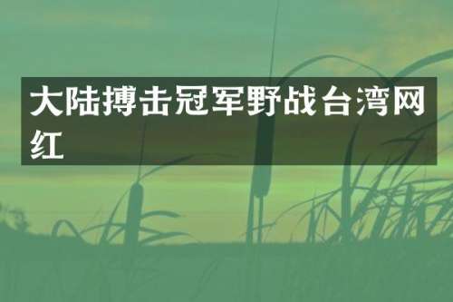 大陆搏击冠军野战台湾网红