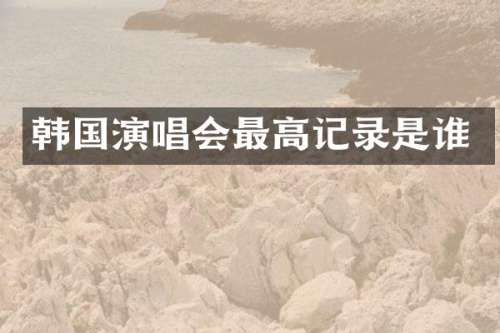 韩国演唱会最高记录是谁