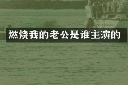 燃烧我的老公是谁主演的