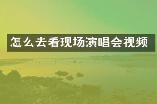 怎么去看现场演唱会视频