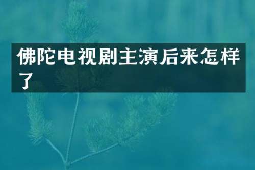 佛陀电视剧主演后来怎样了