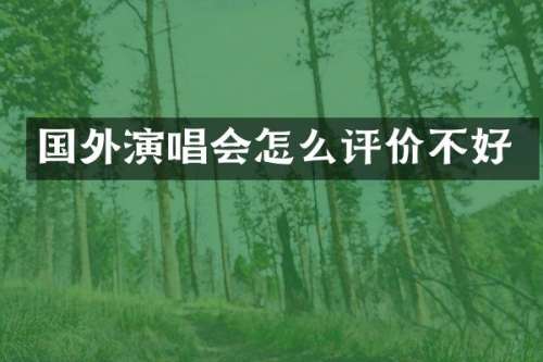 国外演唱会怎么评价不好