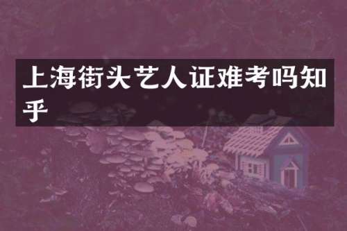 上海街头艺人证难考吗知乎