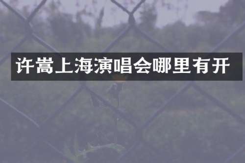 许嵩上海演唱会哪里有开