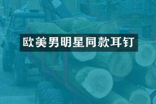 欧美男明星同款耳钉