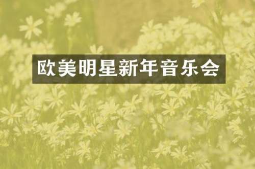 欧美明星新年音乐会