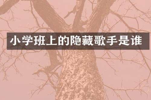 小学班上的隐藏歌手是谁