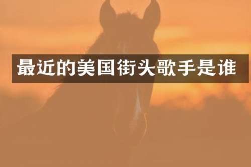 最近的美国街头歌手是谁