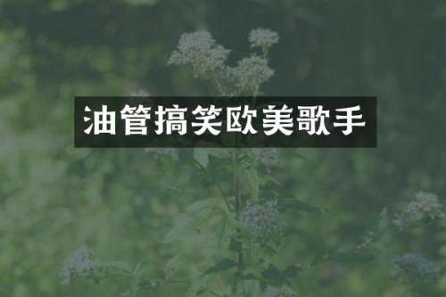 油管搞笑欧美歌手