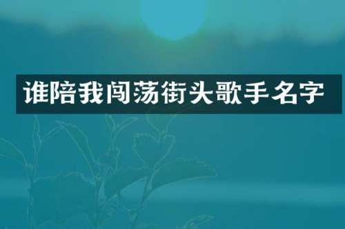 谁陪我闯荡街头歌手名字
