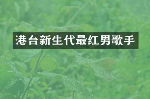 港台新生代最红男歌手