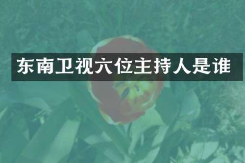 东南卫视六位主持人是谁