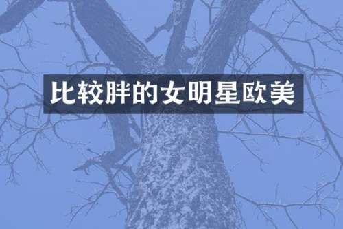 比较胖的女明星欧美