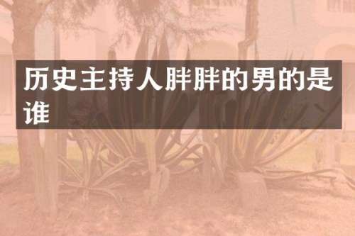 历史主持人胖胖的男的是谁