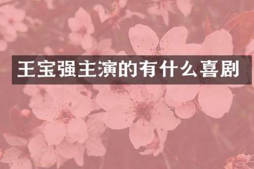 王宝强主演的有什么喜剧