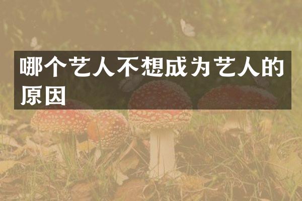 哪个艺人不想成为艺人的原因