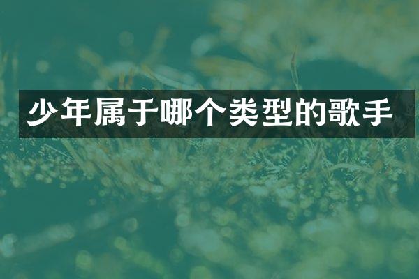 少年属于哪个类型的歌手