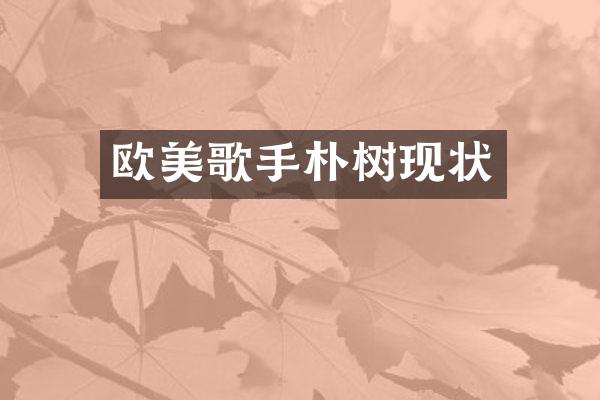 欧美歌手朴树现状