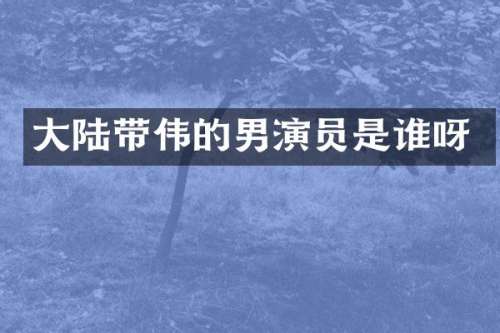 大陆带伟的男演员是谁呀
