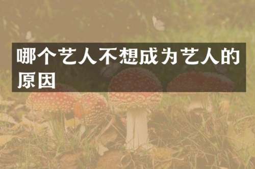 哪个艺人不想成为艺人的原因