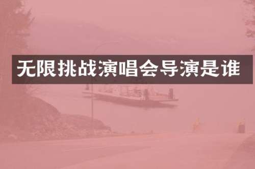 无限挑战演唱会导演是谁