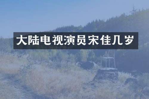 大陆电视演员宋佳几岁