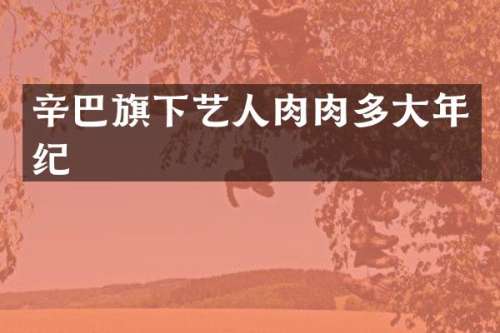 辛巴旗下艺人肉肉多大年纪