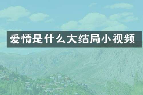 爱情是什么大结局小视频