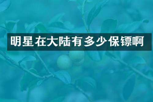 明星在大陆有多少保镖啊