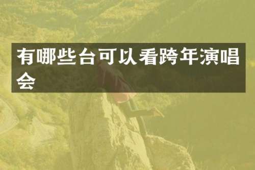 有哪些台可以看跨年演唱会