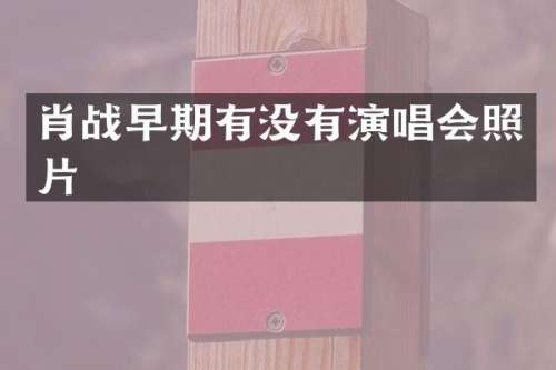 肖战早期有没有演唱会照片