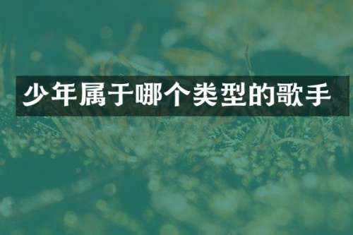 少年属于哪个类型的歌手