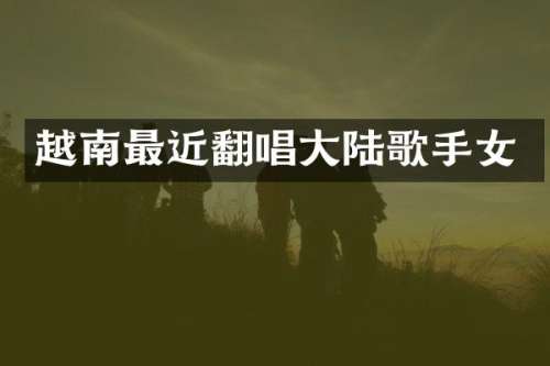 越南最近翻唱大陆歌手女