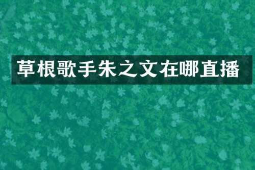 草根歌手朱之文在哪直播