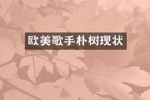 欧美歌手朴树现状