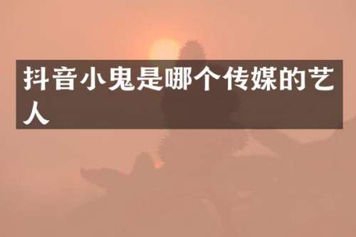 抖音小鬼是哪个传媒的艺人