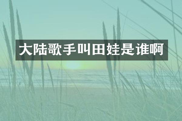大陆歌手叫田娃是谁啊